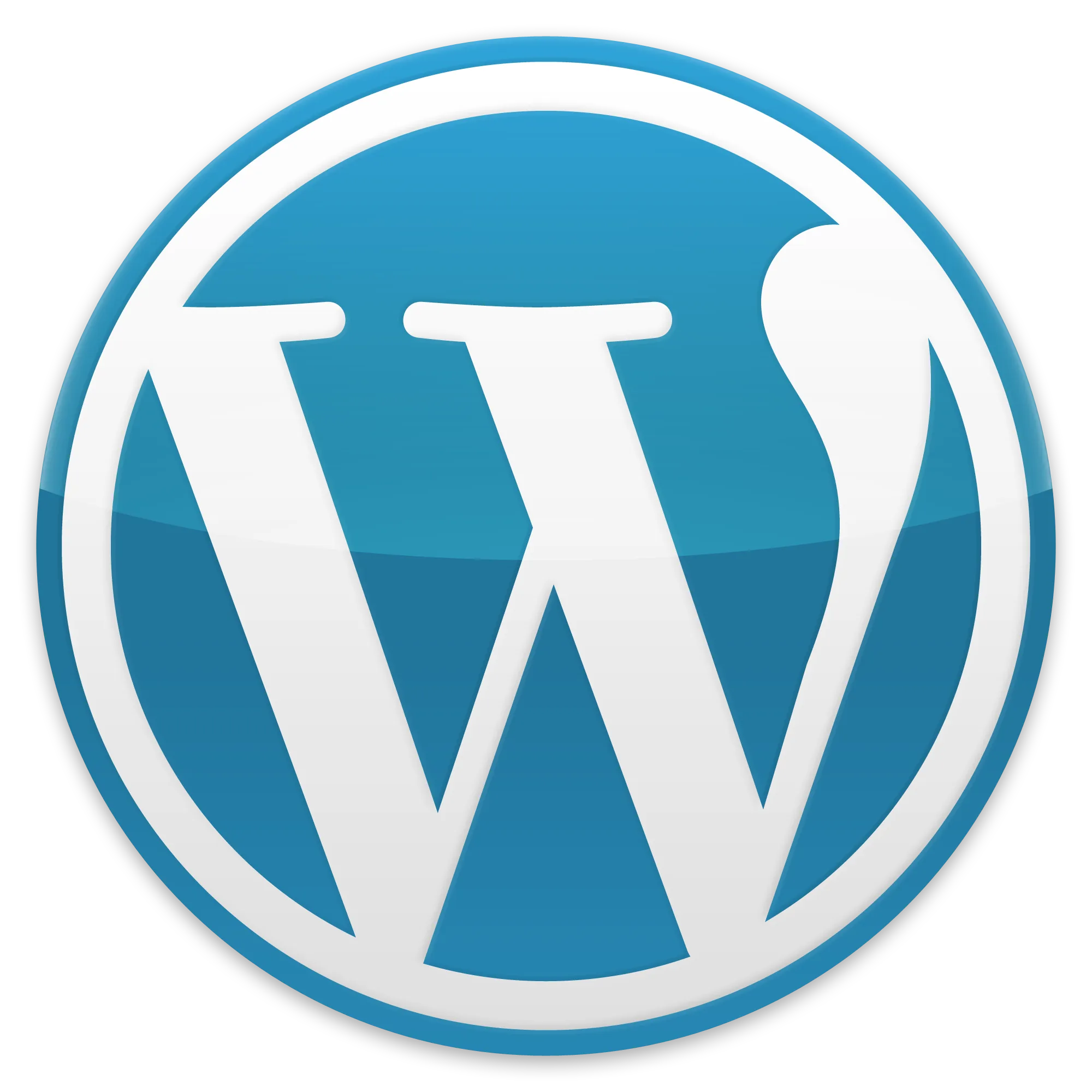 WordPress Update Best Practices Core Themes Plugins